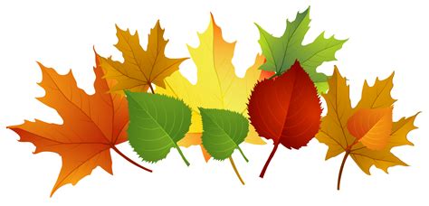 autumn leaves clipart